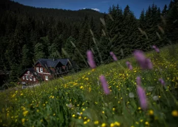Vacanza in montagna, per 7 su 10 è una scelta enogastronomica