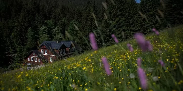 Vacanza in montagna, per 7 su 10 è una scelta enogastronomica