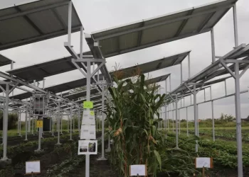 Regione non autorizzerà progetto agrivoltaico a Siamaggiore