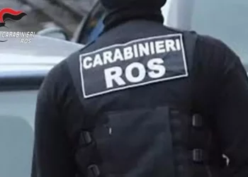 Operazione contro Cosa nostra catanese, ordinanza per 19