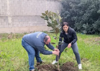 Dieci nuovi alberi a dimora nel bosco letterario a Decimomannu
