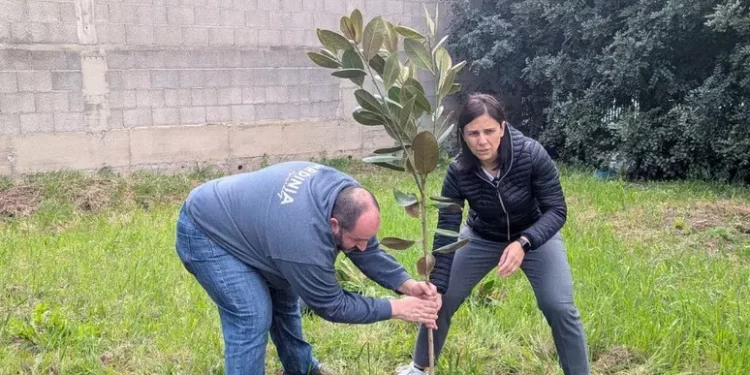 Dieci nuovi alberi a dimora nel bosco letterario a Decimomannu