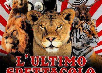 Lav in piazza a Cagliari per fermare l’uso degli animali nei circhi