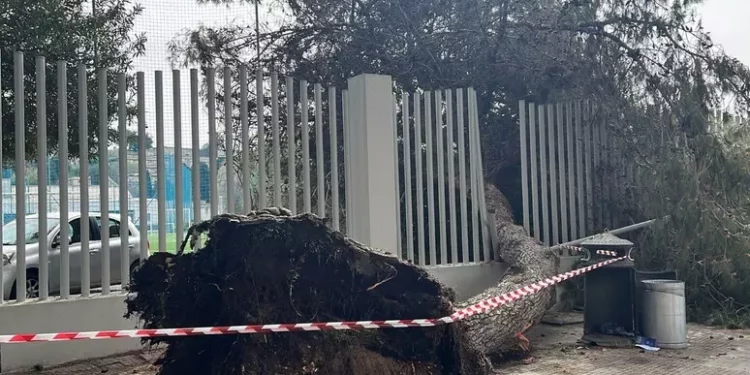 Maltempo, albero cade su recinzione impianto sportivo Cagliari