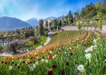 Passeggiate nei giardini tra profumi e colori