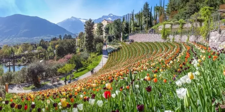 Passeggiate nei giardini tra profumi e colori