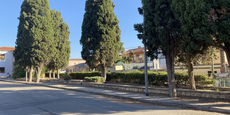Sanluri, restyling di Piazza Mazzini: più verde e particolare attenzione alla salvaguardia del patrimonio arboreo