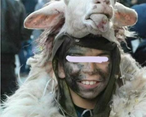 Carnevale e rispetto per gli animali: è tempo di un cambiamento culturale