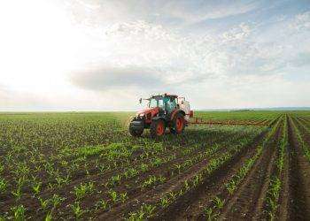 Interventi di sviluppo rurale, firmato il decreto da oltre 7 milioni per più di 6 mila beneficiari