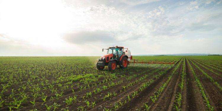 Interventi di sviluppo rurale, firmato il decreto da oltre 7 milioni per più di 6 mila beneficiari