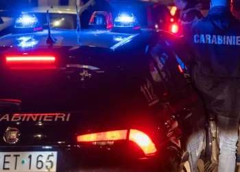 Scende per soccorrere un animale, uccisa da un’auto pirata