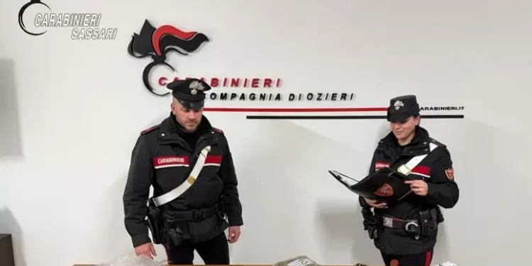 Droga, coltelli e pistole, due minorenni arrestati a Ozieri
