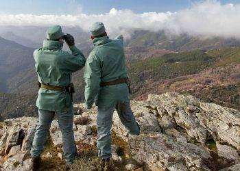 Albo regionale delle imprese forestali. Riapertura termini iscrizione fino al 31 marzo 2025