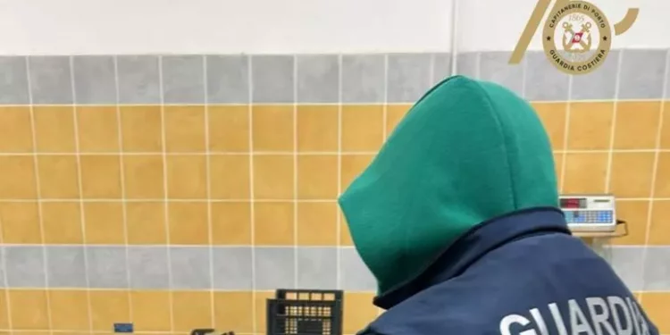 Oltre 200 kg di gamberi pregiati sequestrati a Golfo Aranci