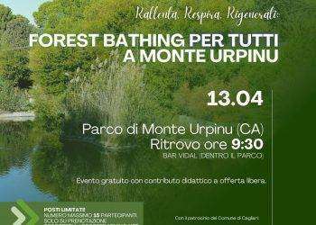 Arriva a Cagliari il Forest Bathing, pratica giapponese basata sul potere terapeutico del verde e degli alberi
