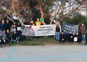 “No abbattimento dei cinghiali”, manifestazione a San Giovanni di Sinis