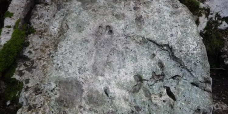 Scoperte in Ogliastra tracce fossili di dinosauri