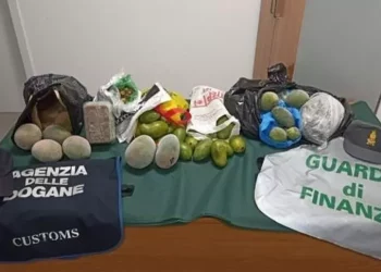 Oltre 150 kg di alimenti sospetti sequestrati in scalo Alghero