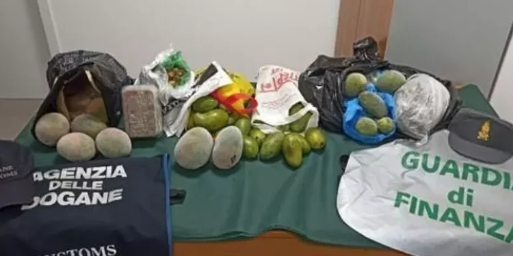 Oltre 150 kg di alimenti sospetti sequestrati in scalo Alghero