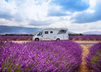 In camper tra le fioriture meno note d’Italia