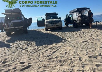 Quattro fuoristrada sulla riva della spiaggia di Cartoe: tutti multati