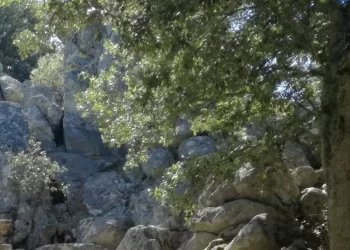 Forestas curerà la gestione del verde del monte Ortobene