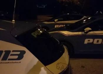 Donna rischia di essere sbranata in casa dai suoi 13 pitbull