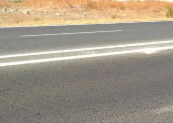 Lavori di rifacimento della segnaletica verticale sulla 554