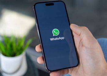 Attivo il canale whatsapp dell’Agenzia Forestas