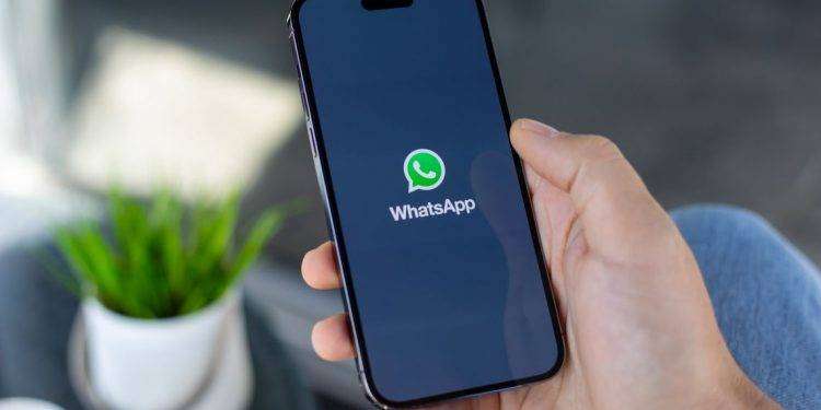 Attivo il canale whatsapp dell’Agenzia Forestas