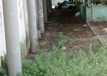 Cagliari, discarica e ratti vicino alla scuola in via Flavio Gioia