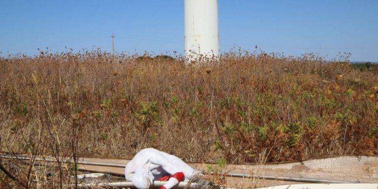 “Bentu estu” in difesa dell’ambiente, performance artistica davanti a Su Nuraxi: si cercano partecipanti