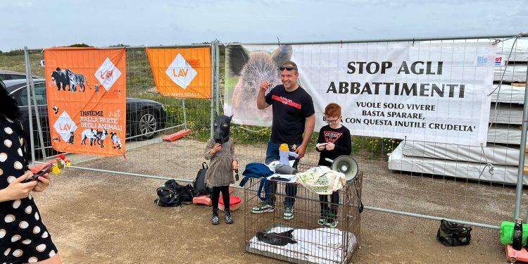 Abbattimento dei cinghiali nell’oristanese, manifestazione degli animalisti