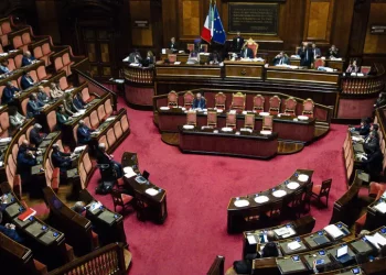 Il Senato approva il ddl per i reati contro gli animali