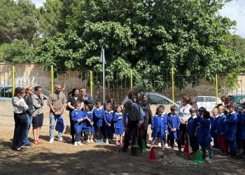 Cagliari, un ulivo in ricordo del piccolo Leonardo, nel giardino della sua scuola