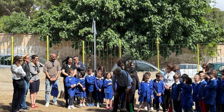 Cagliari, un ulivo in ricordo del piccolo Leonardo, nel giardino della sua scuola