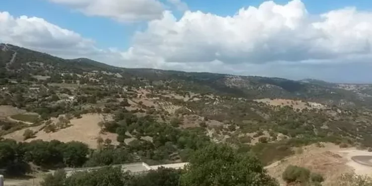 Colpito dal calcio di un cavallo, allevatore muore a Orgosolo