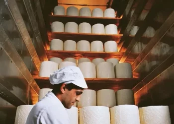 La Regione boccia il disciplinare del Pecorino romano dop