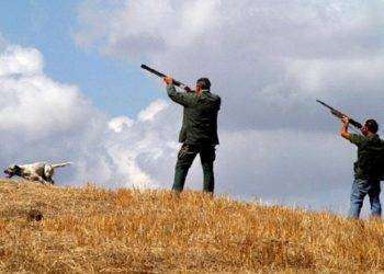 Gli ambientalisti contro Giorgia Meloni: “Il governo vuole sterminare gli animali selvatici”