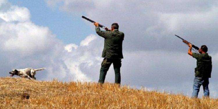 Gli ambientalisti contro Giorgia Meloni: “Il governo vuole sterminare gli animali selvatici”