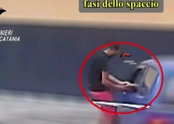 Trafficanti droga legati a famiglia Cosa nostra, 12 arresti