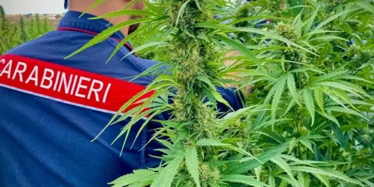 Traffico di droga con la Lombardia, due arresti a Cagliari