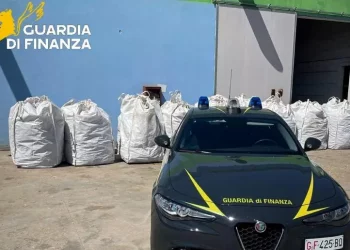 Sequestrate a Ozieri 3,7 tonnellate di marijuana, un indagato