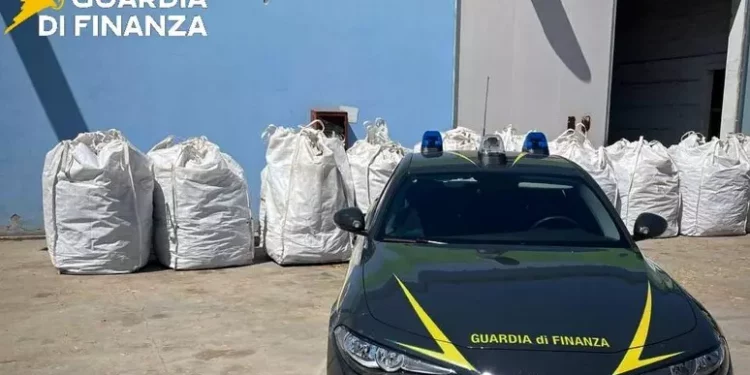 Sequestrate a Ozieri 3,7 tonnellate di marijuana, un indagato