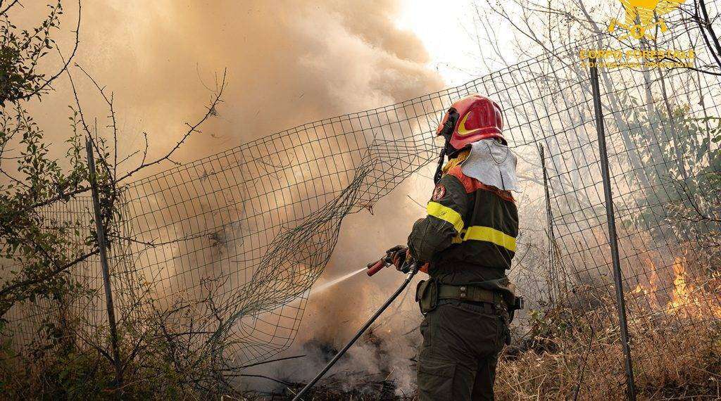 Fiamme in Sardegna: 10 incendi in tutta l’isola