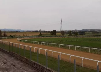 Stagione ippica a rischio col nuovo decreto, chiesta proroga