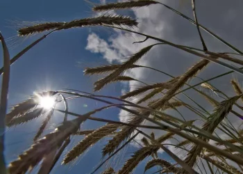 Primo weekend di maggio dal caldo estivo a forti temporali