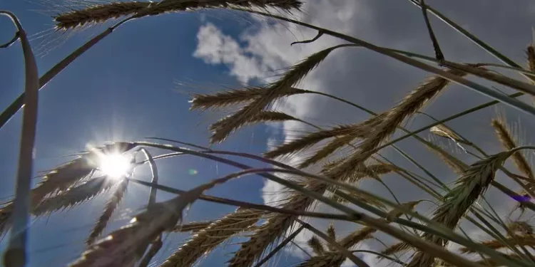 Primo weekend di maggio dal caldo estivo a forti temporali