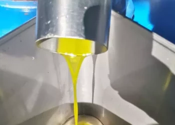 Oleoturismo in Sardegna, Giulia Mura racconta l’olio come esperienza “mistica”