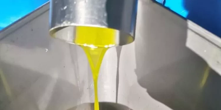 Oleoturismo in Sardegna, Giulia Mura racconta l’olio come esperienza “mistica”